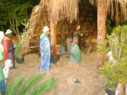 ibate 1 20111208 1262060809